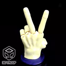 HAND FLEX