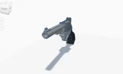 Pistol