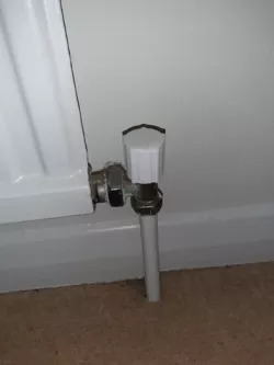 Radiator Cap