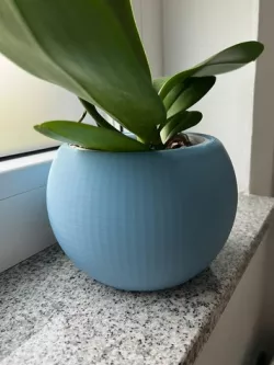 Sphere Plant Pot