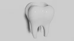tooth pot