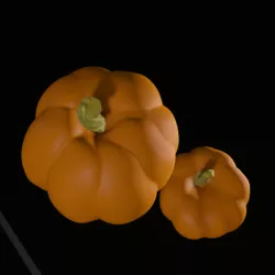 Two pumpkins. Realistic pumpkin.