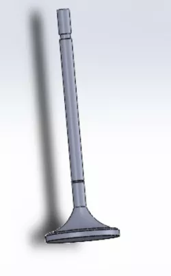 valvula