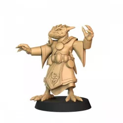 $1.70Dragonborn Wizard