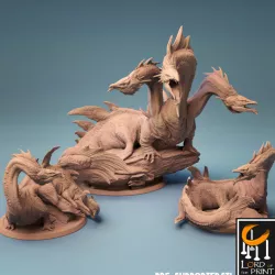 $16.70Eel Hydra and Eel drake