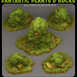 $2.50CURIOUS GRASSY ROCKS