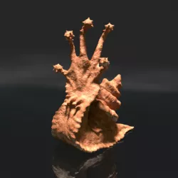 $2.50Flail snail miniature
