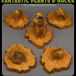 $2.50FOSSIL ROCKS
