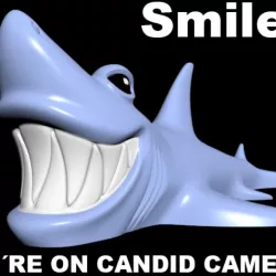 $2.85Flexible Big White Shark