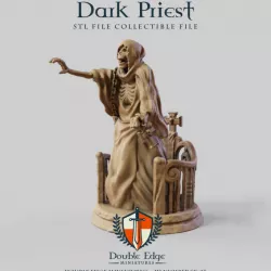 $2.99Dark Priest SK_05