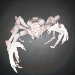 $3.00Choldrith - Dnd Monster 2 Poses