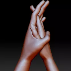 $3.00Couple in love holding hands.