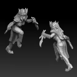 $3.00Dark elf female run