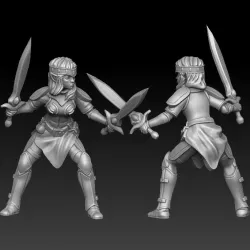 $3.00female elf with dual sword