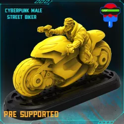 $3.99CYBERPUNK MALE STREET BIKER