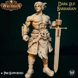 $3.99Dark Elf Barbarian