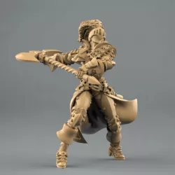 $4.00female paladin posed