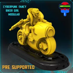 $4.99CYBERPUNK FANCY GIRL BIKER GIRL MODULAR