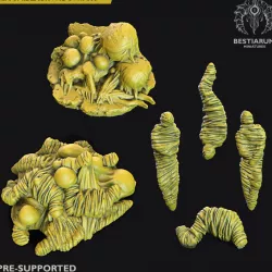 $5.00Cocoons and spider Eggs