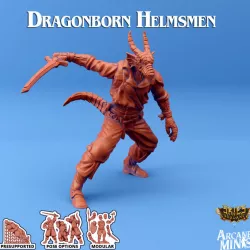 $5.00Dragonborn Helmsman - Arrodan Syndicate