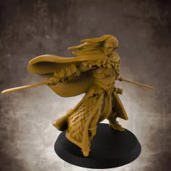 $5.00Drizzle (not Drizzt) - Dual wielding Drow Elf Fighter/Ranger