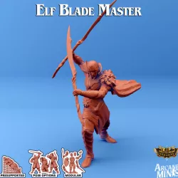 $5.00Elf Blade Master