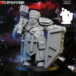 $5.90Firstborn Ogre Hammer and Shield 1 support ready