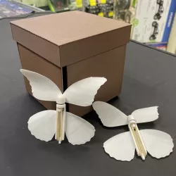 $6.00Butterfly Box