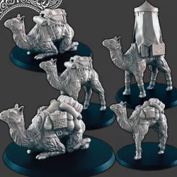 $6.00Camels [Support-free]