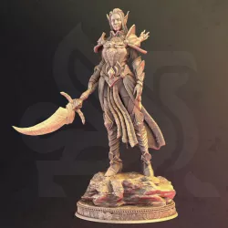 $6.00Elven Paladin of War - Tyriana