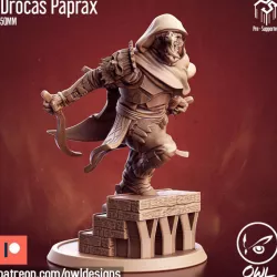 $6.99Dragonborn Rogue