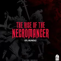 $60.00BUNDLE | The Rise of the Necromancer