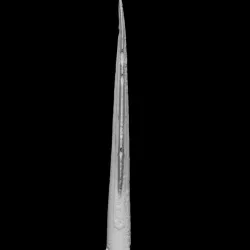 Bronze Age Spearhead