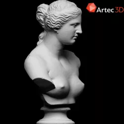 Bust of Venus de Milo