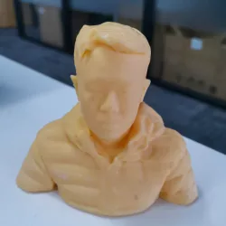 Bust toy（generated by Revopoint POP）
