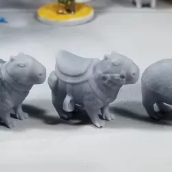 Capybara Companions