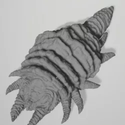 Ceti Eel