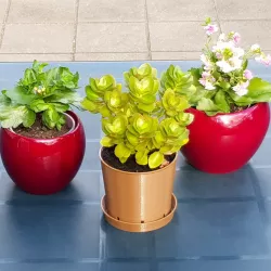 Classic Brown Plant Pot & Water Dish