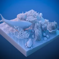 Coral reef