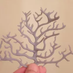 Coral