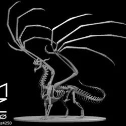 Dragon Skeleton