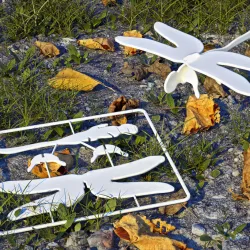 Dragonfly Gift Card Toy