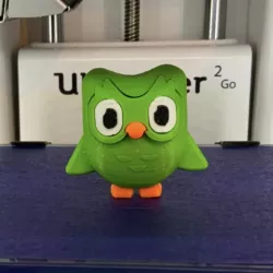 Duo owl from Duolingo App
