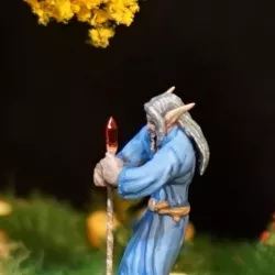 Elf Male