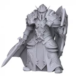 Elf paladin