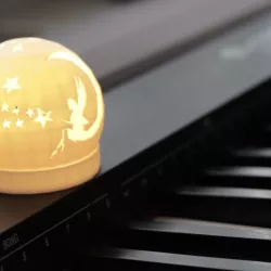Fairy lantern