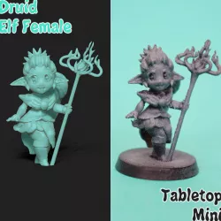 Female Druid Elf Mini