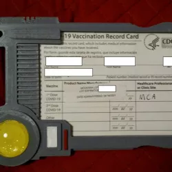 Fifth Element Multipass Covid Vaccination Card Holder