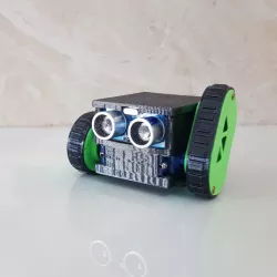 Following robot and avoiding robot