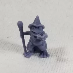 Frog Wizard